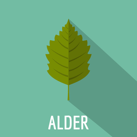 Alder leaf icon. Flat illustration of alder leaf icon for web.のイラスト素材