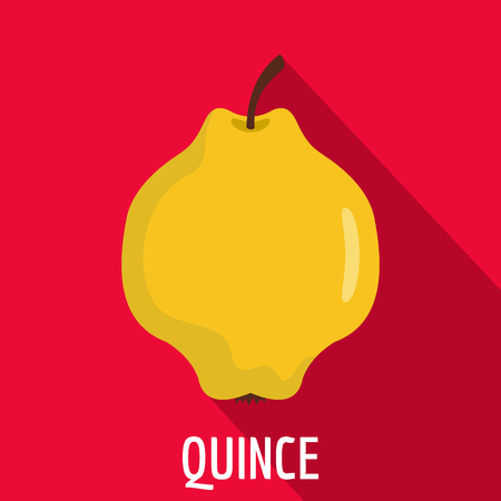 Quince icon. Flat illustration of quince vector icon for webのイラスト素材