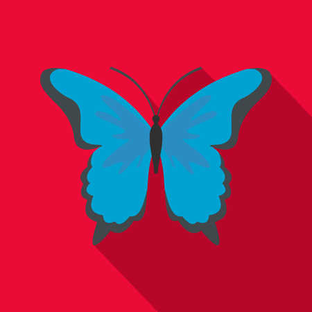 Insect butterfly icon. Flat illustration of insect butterfly vector icon for webのイラスト素材