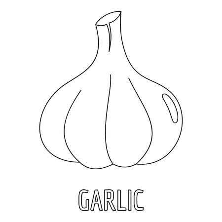 Garlic icon. Outline illustration of garlic vector icon for webのイラスト素材