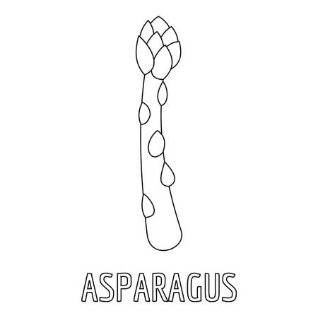 Asparagus icon. Outline illustration of asparagus vector icon for webのイラスト素材