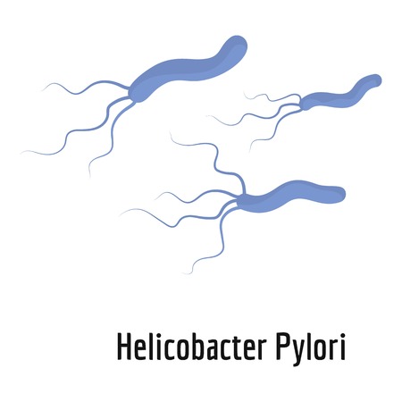 Helicobacter pylory icon. Cartoon illustration of helicobacter pylory vector icon for web.のイラスト素材
