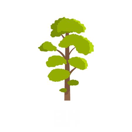 Flat illustration of elm tree vector icon isolated on white background.のイラスト素材