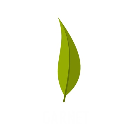 Garnet leaf icon. Flat illustration of garnet leaf vector icon isolated on white backgroundのイラスト素材