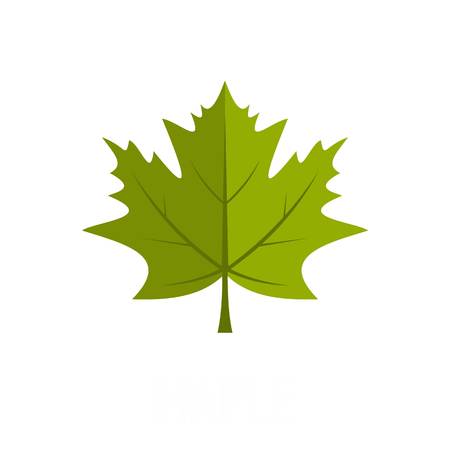 Maple leaf icon. Flat illustration of maple leaf vector icon isolated on white backgroundのイラスト素材