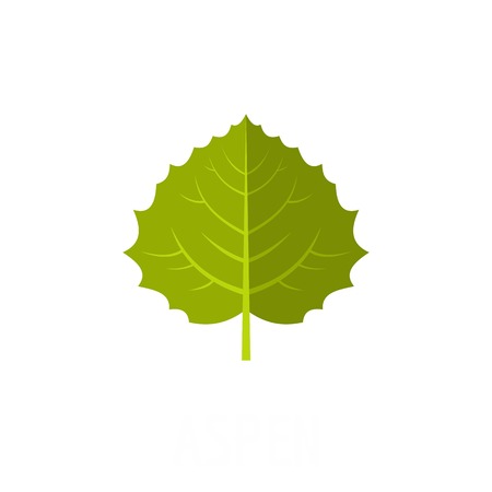 Aspen leaf icon. Flat illustration of aspen leaf vector icon isolated on white backgroundのイラスト素材