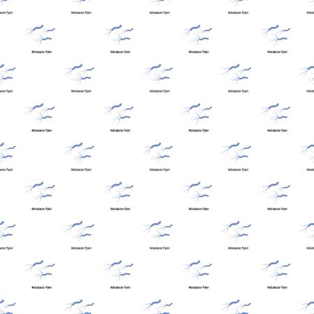Helicobacter pylory pattern seamless in flat style for any design.のイラスト素材