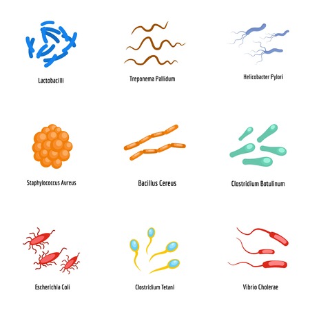Organism icons set. flat set of 9 organism vector icons for web isolated on white backgroundのイラスト素材