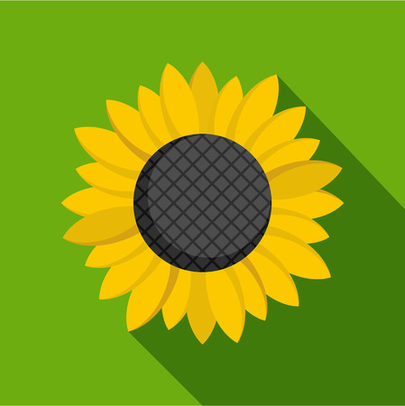 Sunflower seed icon. Flat illustration of sunflower seed vector icon for webのイラスト素材
