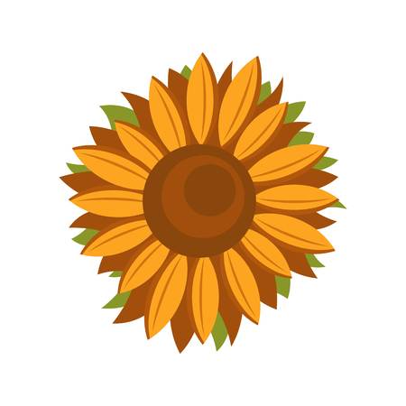 Sunflower icon vector illustrationのイラスト素材