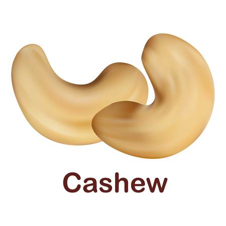 Cashew icon. Realistic illustration of cashew vector icon for web design isolated on white backgroundのイラスト素材