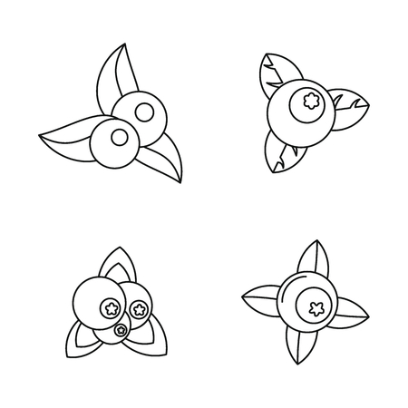 Blueberry sweet fruit icons set. Outline illustration of 4 blueberry sweet fruit vector icons for webのイラスト素材
