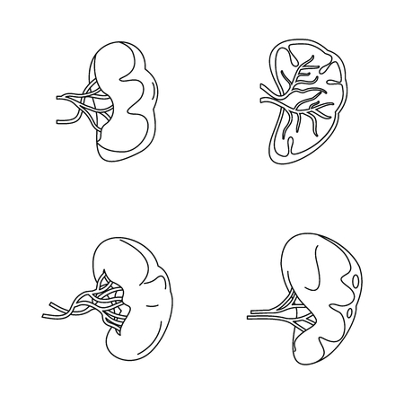 Spleen milt anatomy icons set. Outline illustration of 4 spleen milt anatomy vector icons for webのイラスト素材