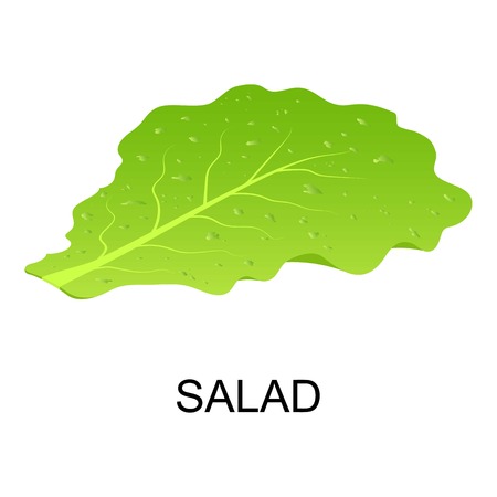Salad icon. Isometric of salad vector icon for web design isolated on white backgroundのイラスト素材