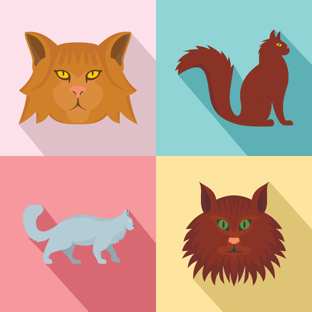 Maine coon cat profile icons set. Flat illustration of 4 maine coon cat profile vector icons for webのイラスト素材