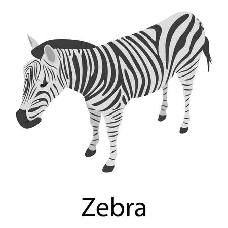 Zebra icon. Isometric of zebra vector icon for web design isolated on white backgroundのイラスト素材