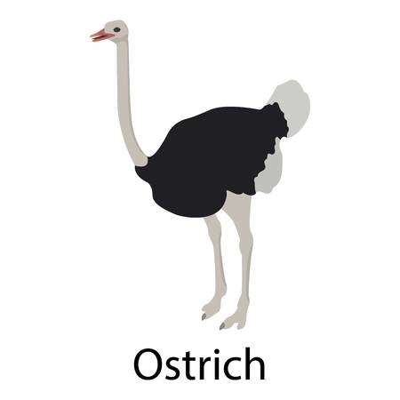 Ostrich icon, isometric styleのイラスト素材