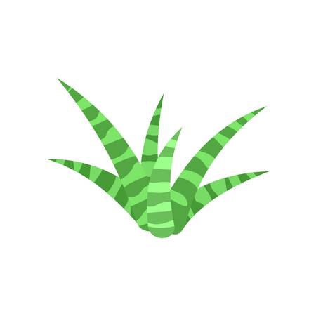 White green aloe icon, flat styleのイラスト素材