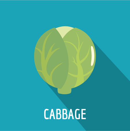 Cabbage icon, flat style.の写真素材