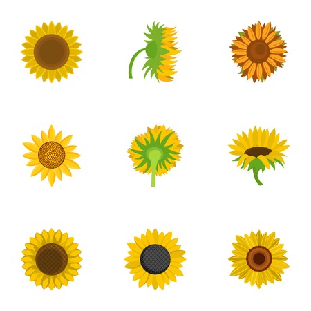 Helianthus icons set, cartoon styleのイラスト素材
