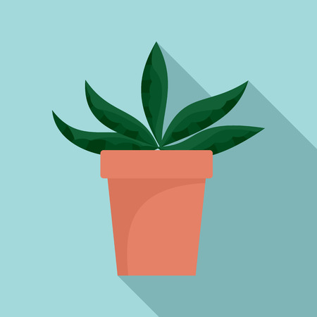 Home cactus pot icon, flat styleの写真素材