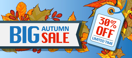 Big autumn sale banner horizontal. Cartoon illustration of big autumn sale banner horizontal for web designの写真素材