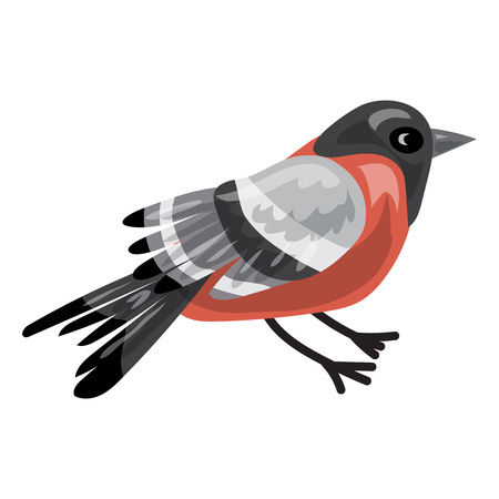 Bullfinch icon, cartoon styleのイラスト素材