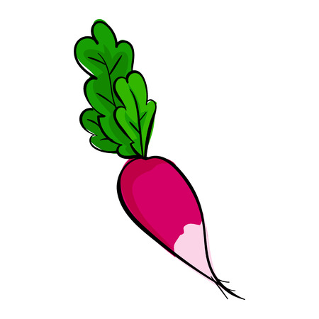 Eco red radish icon, cartoon styleのイラスト素材