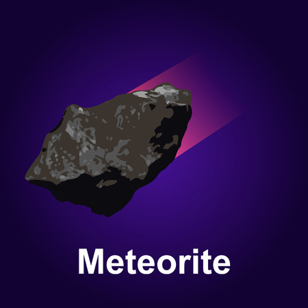 Meteorite icon. Isometric of meteorite vector icon for web designのイラスト素材