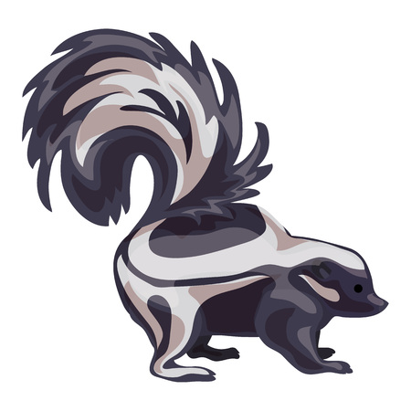 Skunk icon, cartoon styleの写真素材
