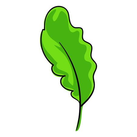 Salat leaf icon, cartoon styleの写真素材