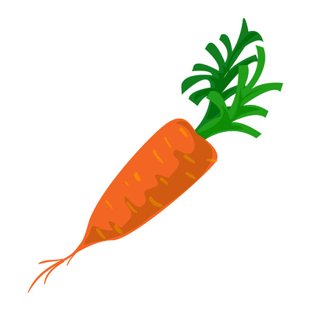Eco carrot icon, cartoon styleの写真素材