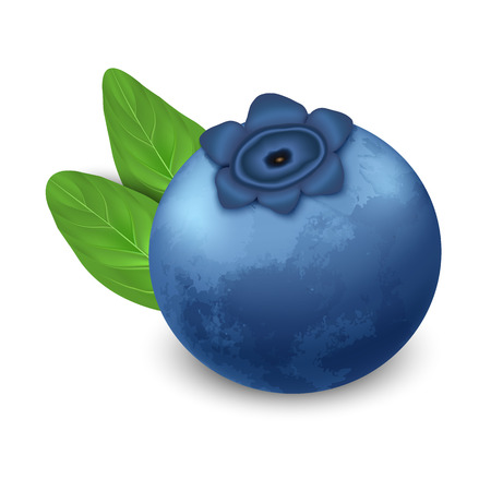 Bilberry icon, realistic styleのイラスト素材