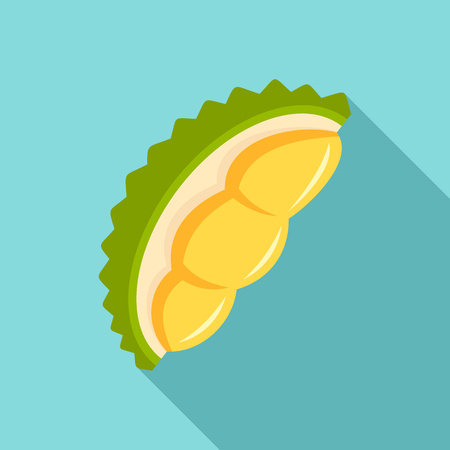 Fresh durian piece icon, flat styleのイラスト素材