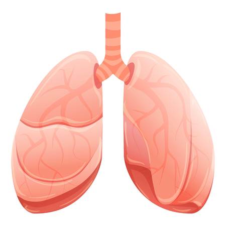 Healthy lungs icon. Cartoon of healthy lungs vector icon for web design isolated on white backgroundのイラスト素材