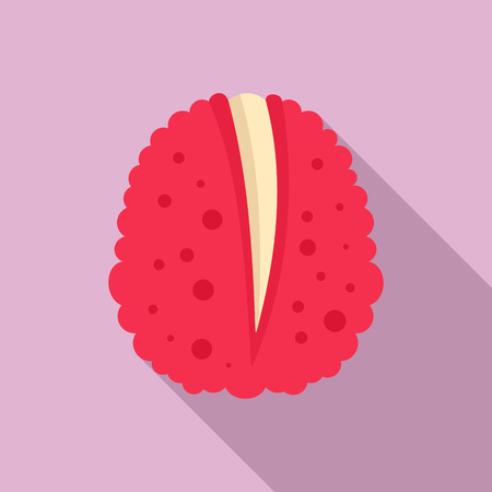 Diet lychees icon. Flat illustration of diet lychees vector icon for web designのイラスト素材