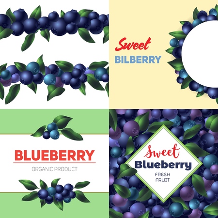 Bilberry banner set, cartoon styleのイラスト素材