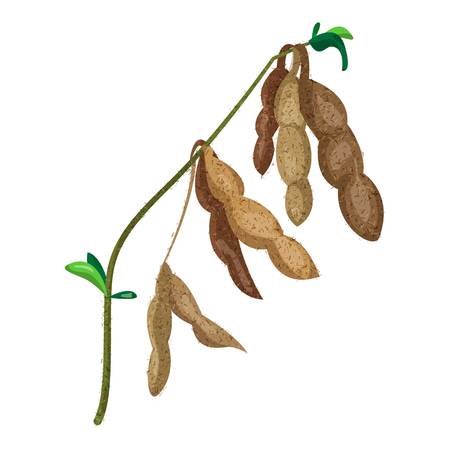 Dry soybean icon, cartoon styleのイラスト素材