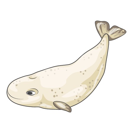 White whale icon. Cartoon of white whale vector icon for web design isolated on white backgroundのイラスト素材