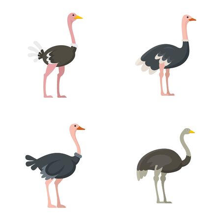 Ostrich icons set, flat styleのイラスト素材
