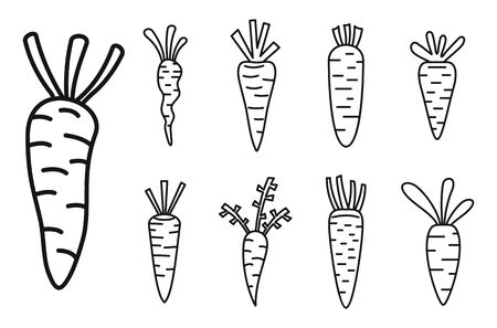 Food carrot icons set. Outline set of food carrot vector icons for web design isolated on white backgroundのイラスト素材