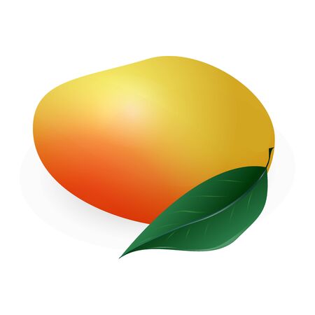 Whole mango icon. Cartoon of whole mango vector icon for web design isolated on white backgroundのイラスト素材