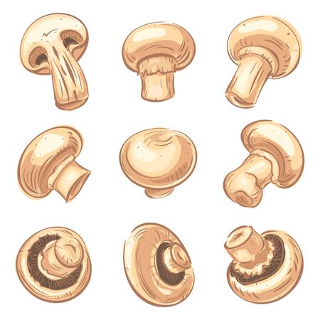 Champignon icons set, cartoon styleのイラスト素材