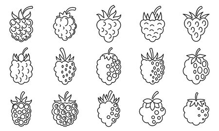 Raw blackberry icons set, outline styleのイラスト素材