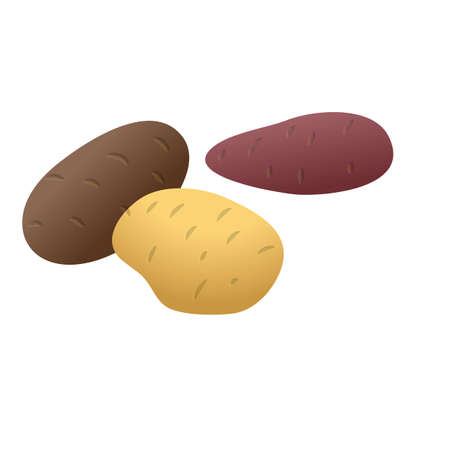 Fresh potato icon, cartoon styleのイラスト素材