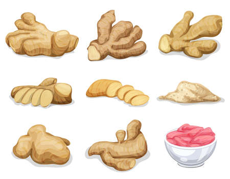 Ginger root icons set, cartoon styleのイラスト素材