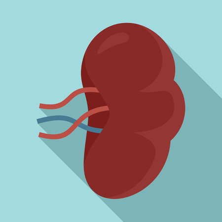 Spleen icon, flat style