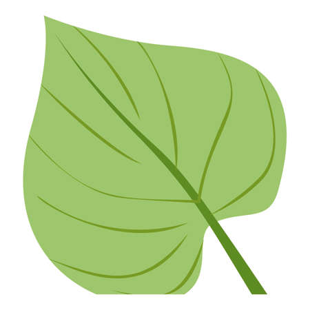 Big tropical leaf icon, cartoon styleの写真素材