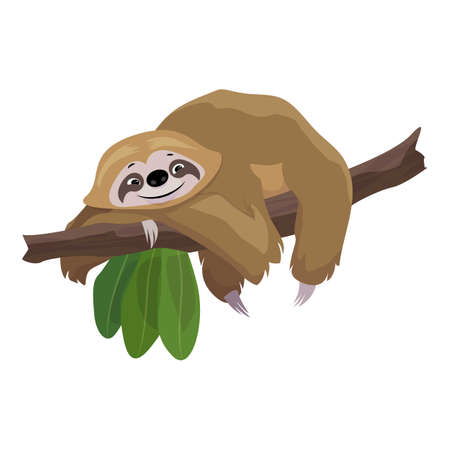 ナマケモノの写真 イラスト素材一覧 9 356件 ストックフォトのamanaimages Plus