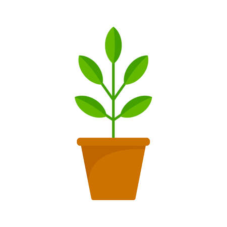 Pepper plant pot icon, flat styleの写真素材